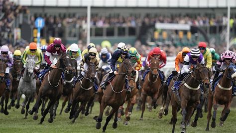 cheltenham day 2 results